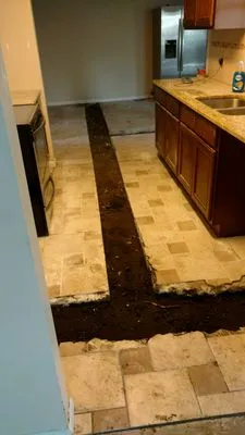 Drain Wizard Plumbing & Rooter Services