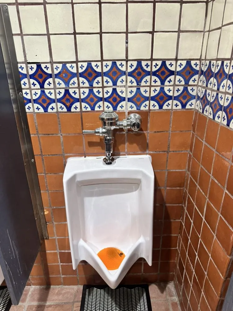 Slide of Drain Wizard Plumbing