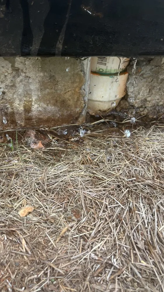 Slide of Draingo of Alabama