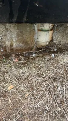 Draingo of Alabama Logo