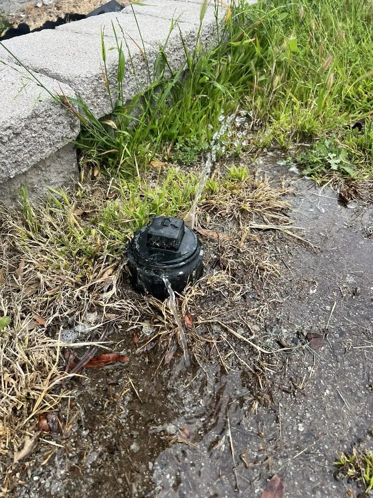 Slide of DrainHelp.com