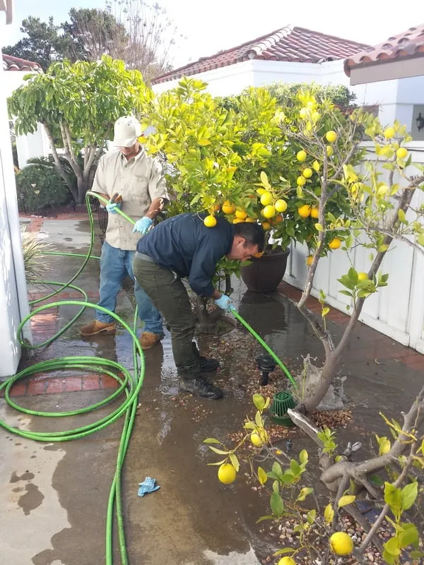 Slide of DrainHelp.com