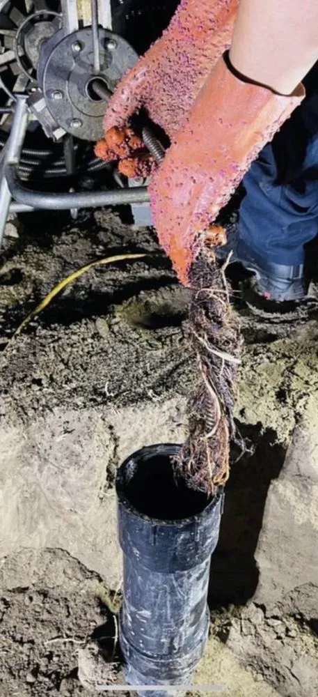 Slide of Drainline Rooter & Plumbing Specialist