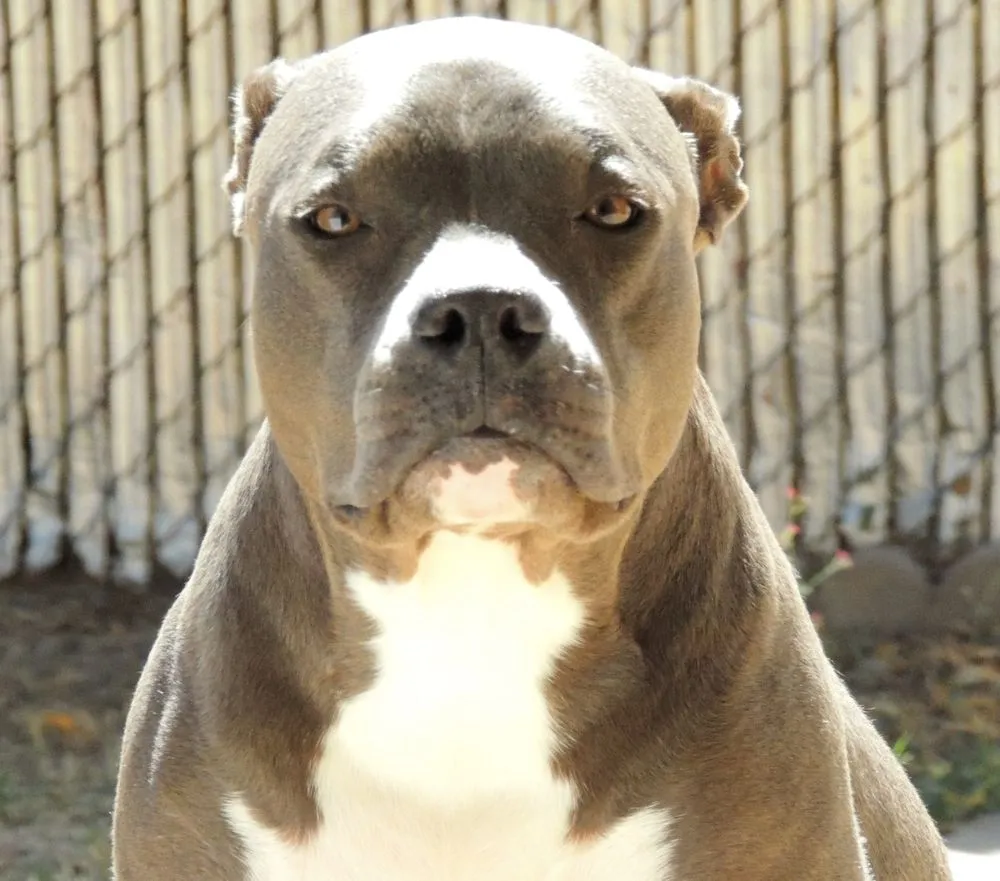 Professional water heater service for homes in Tucson, AZ by DrainMasters Plumbing & Drain Service