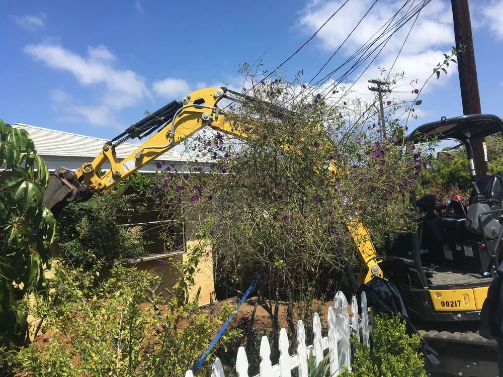 Slide of Drains and Stuff