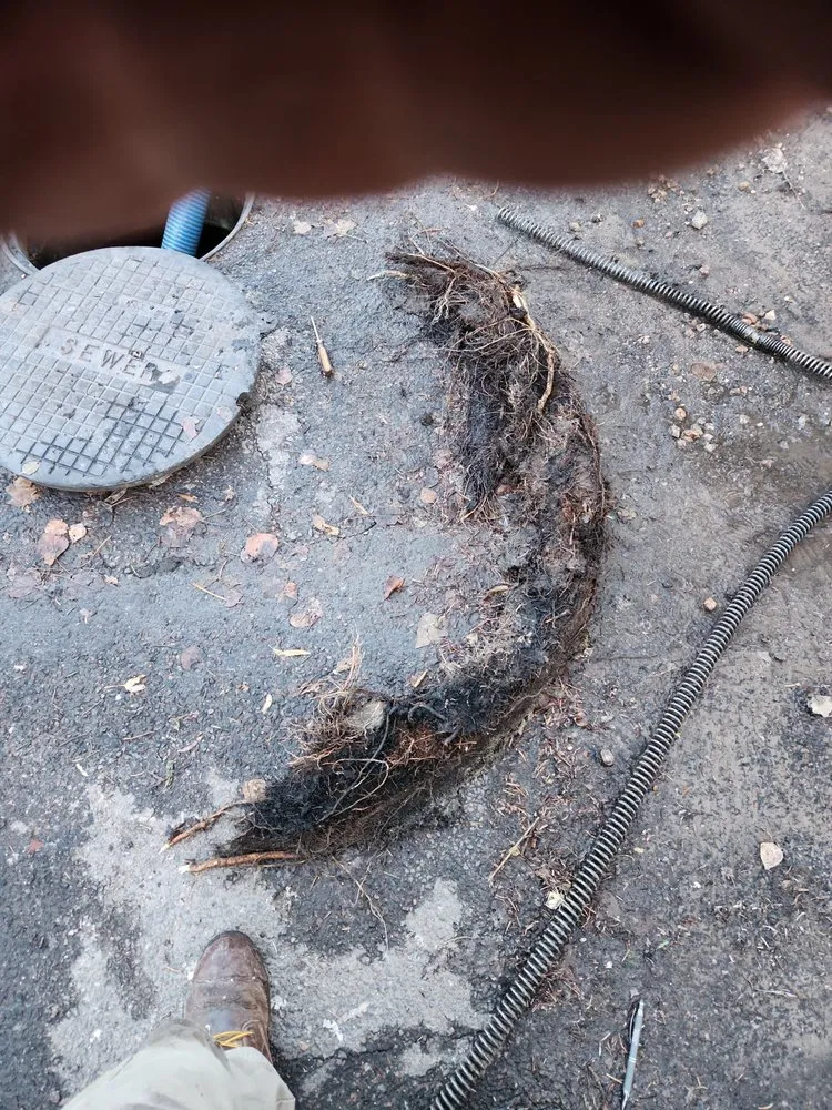 Slide of Drains Are Us