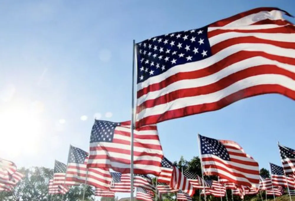 Slide of Drains By James