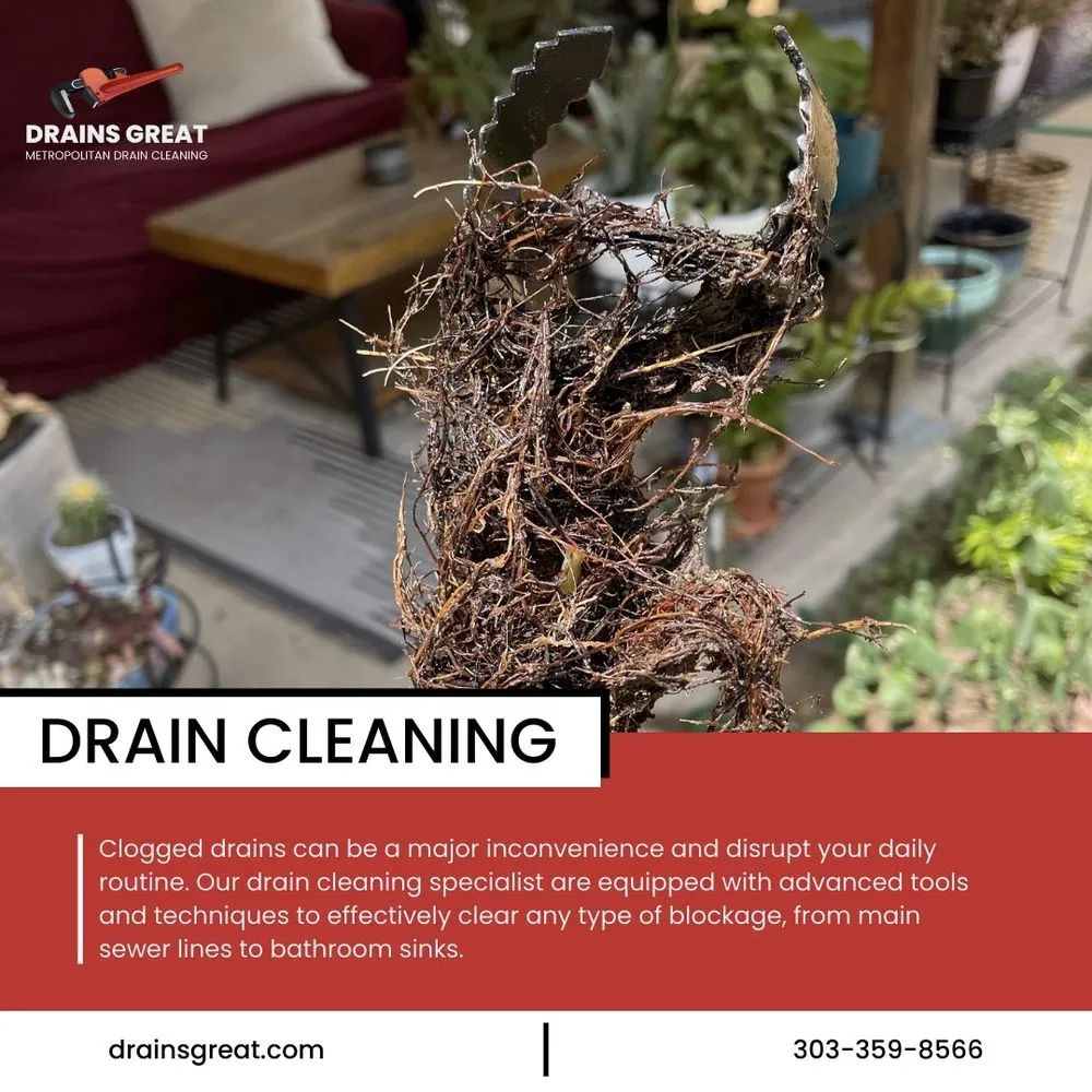 Slide of Drains Great Metropolitan Drain Cleaning