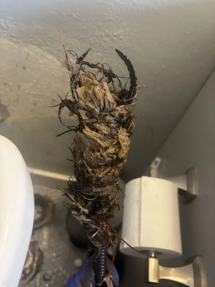 Slide of Drains Great Metropolitan Drain Cleaning