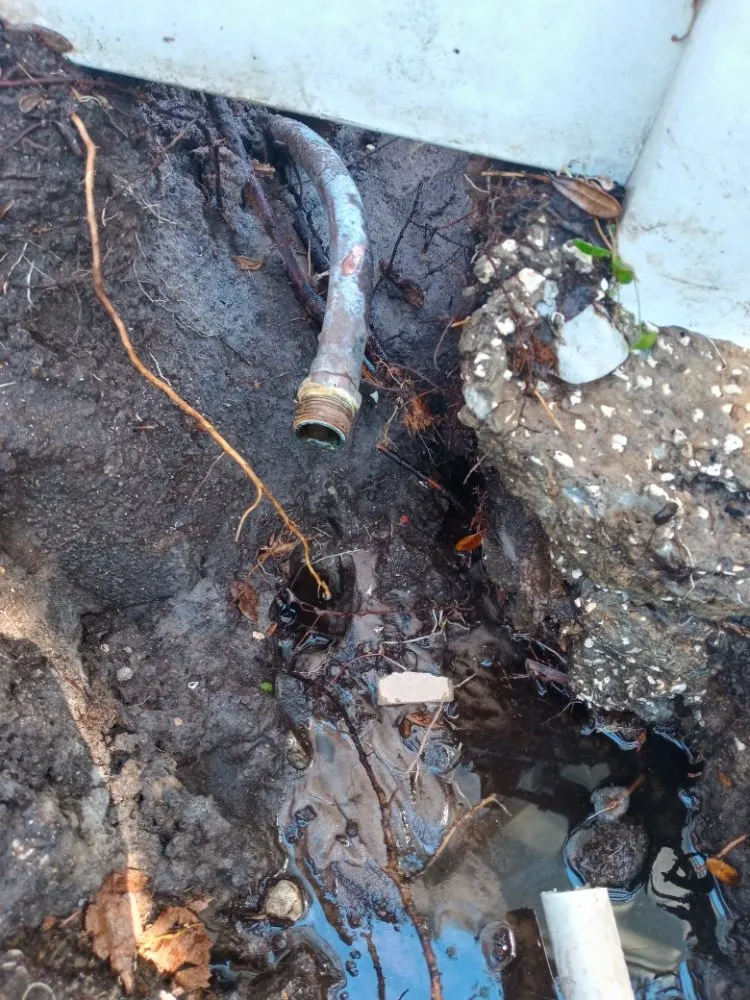 Reliable emergency plumbing in Ormond Beach, FL by Drains Plus