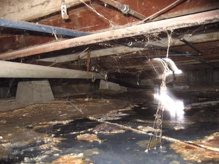 Slide of Drains R Us Plumbing