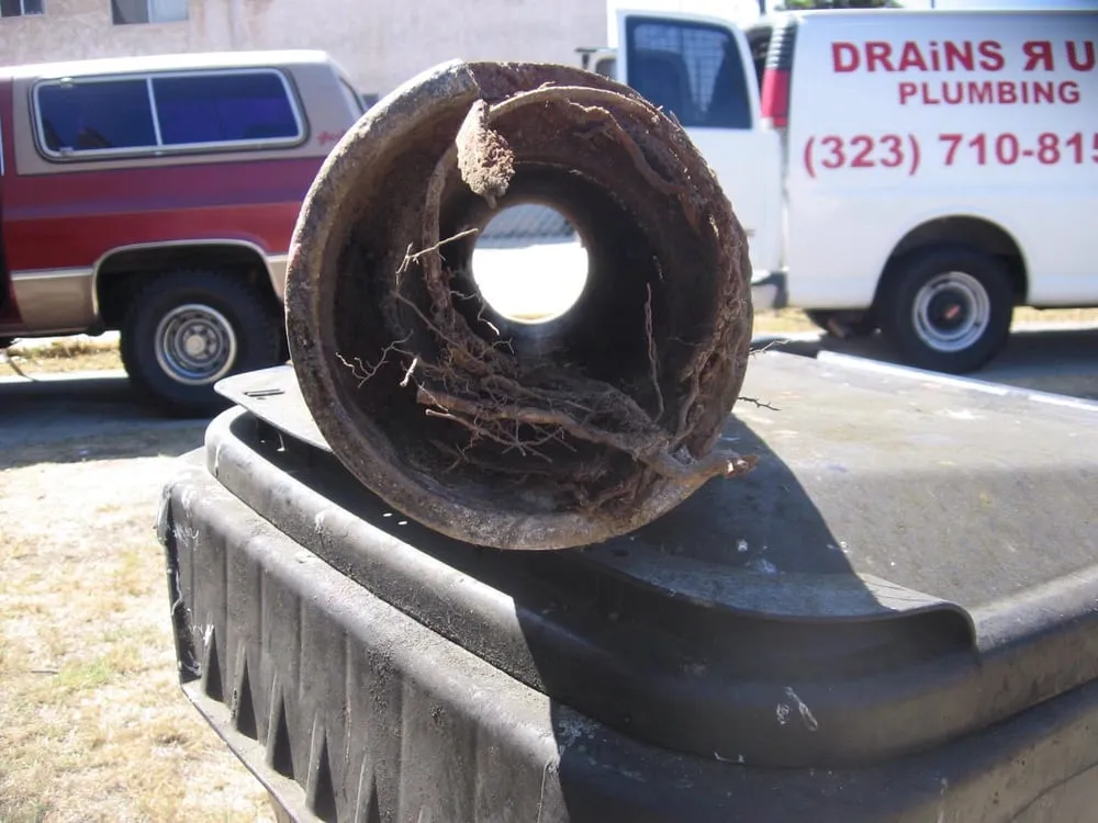 Slide of Drains R Us Plumbing