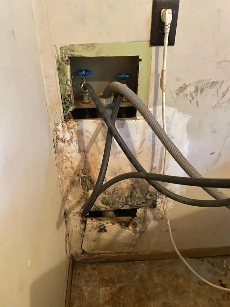 Slide of Drew Does It