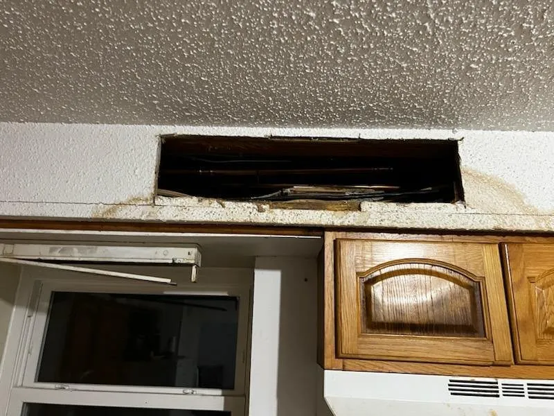 Slide of Drew Does It