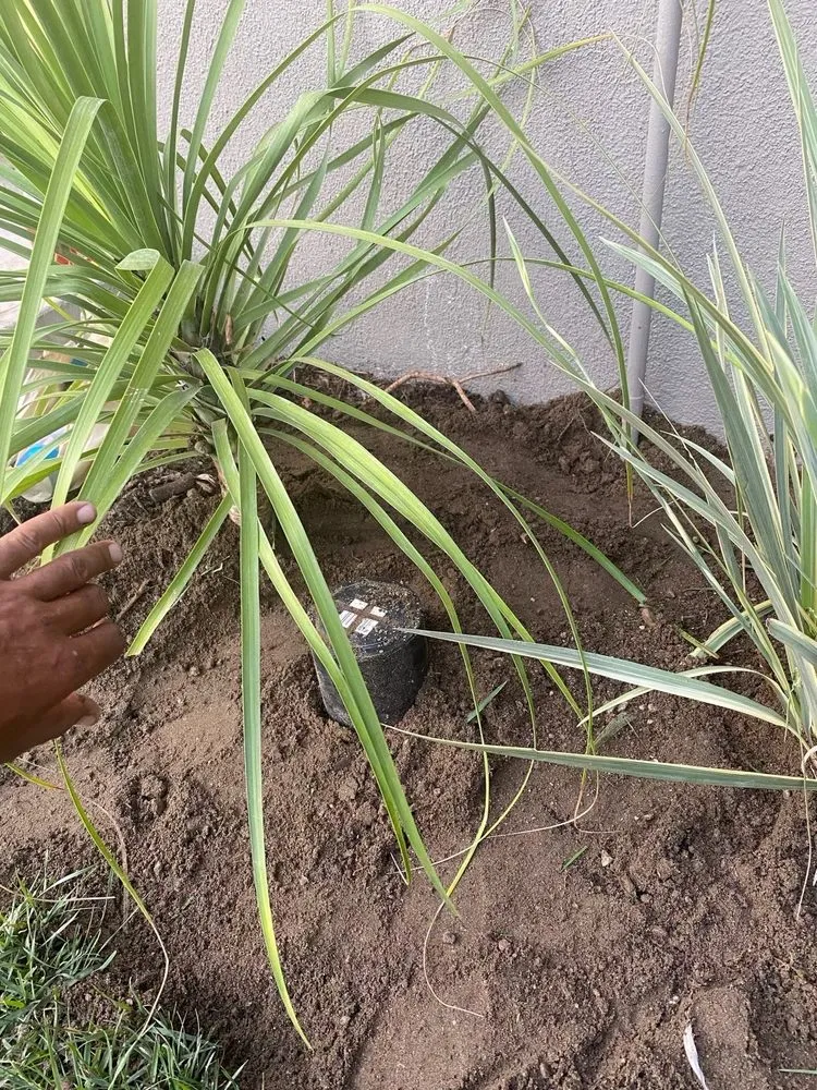 Slide of Drew's Plumbing