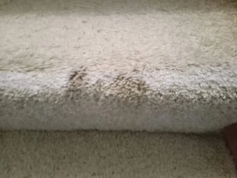 Slide of DRF Water Heating Solutions