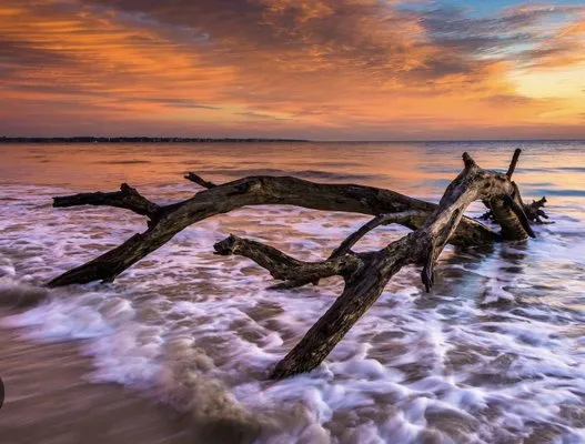 Driftwood Plumbing Logo