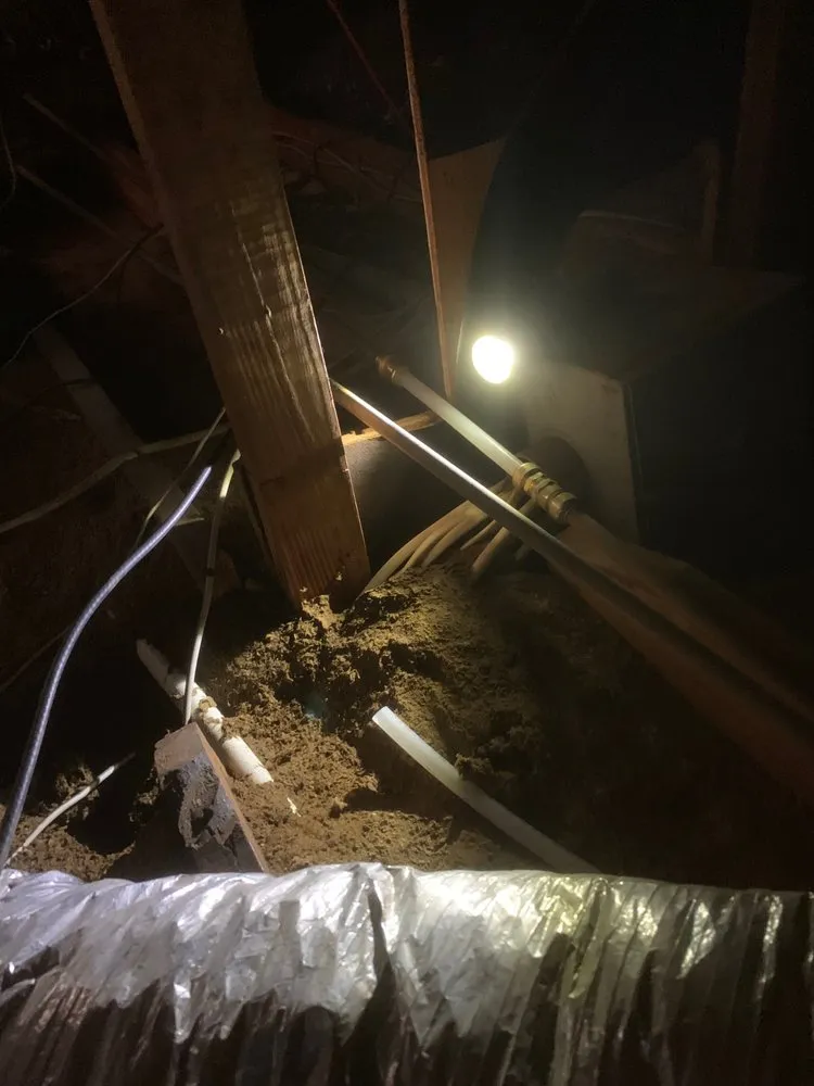 Slide of Drip Drop Plumbing