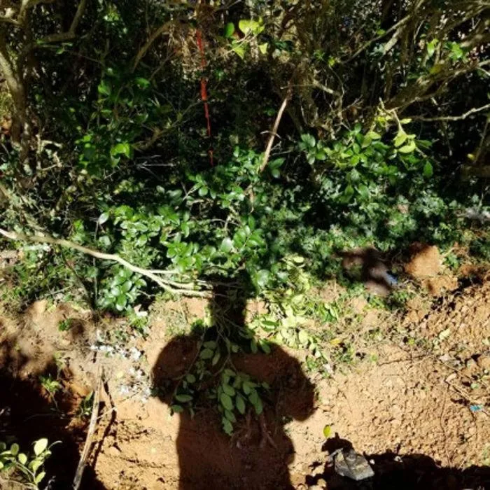 Slide of Drip Drop Plumbing