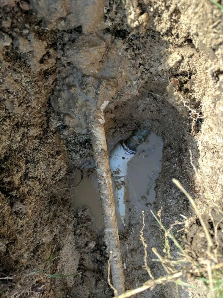 Slide of Drippin' Irrigation