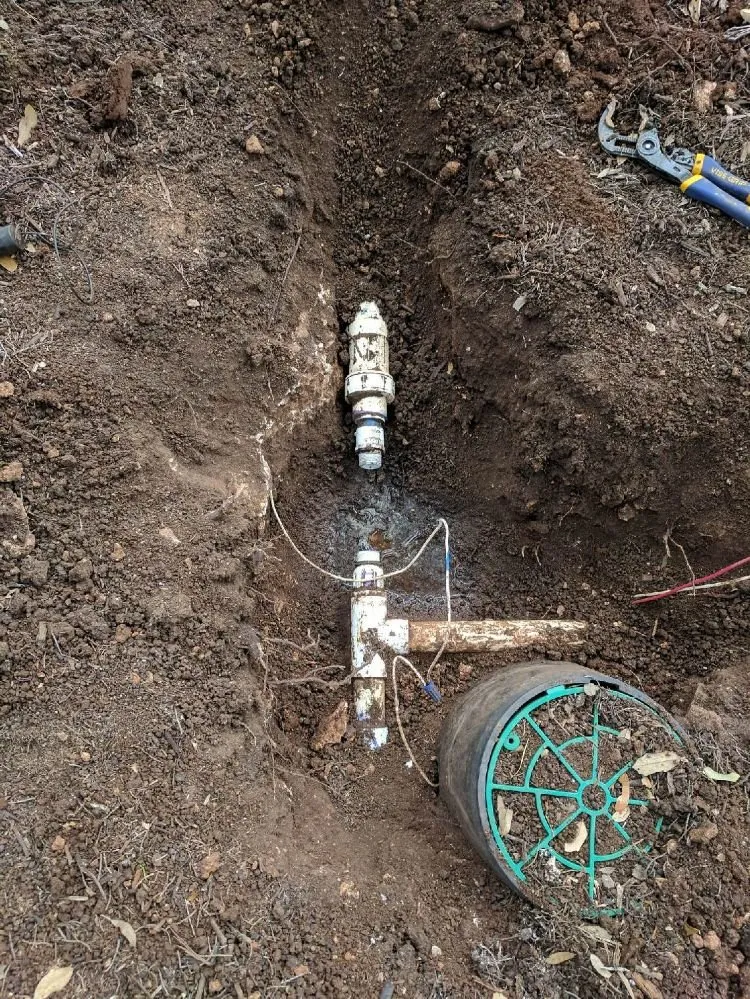 Slide of Drippin' Irrigation