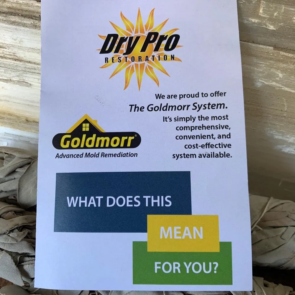 Slide of Dry Pro Restoration and Drain Cleaning