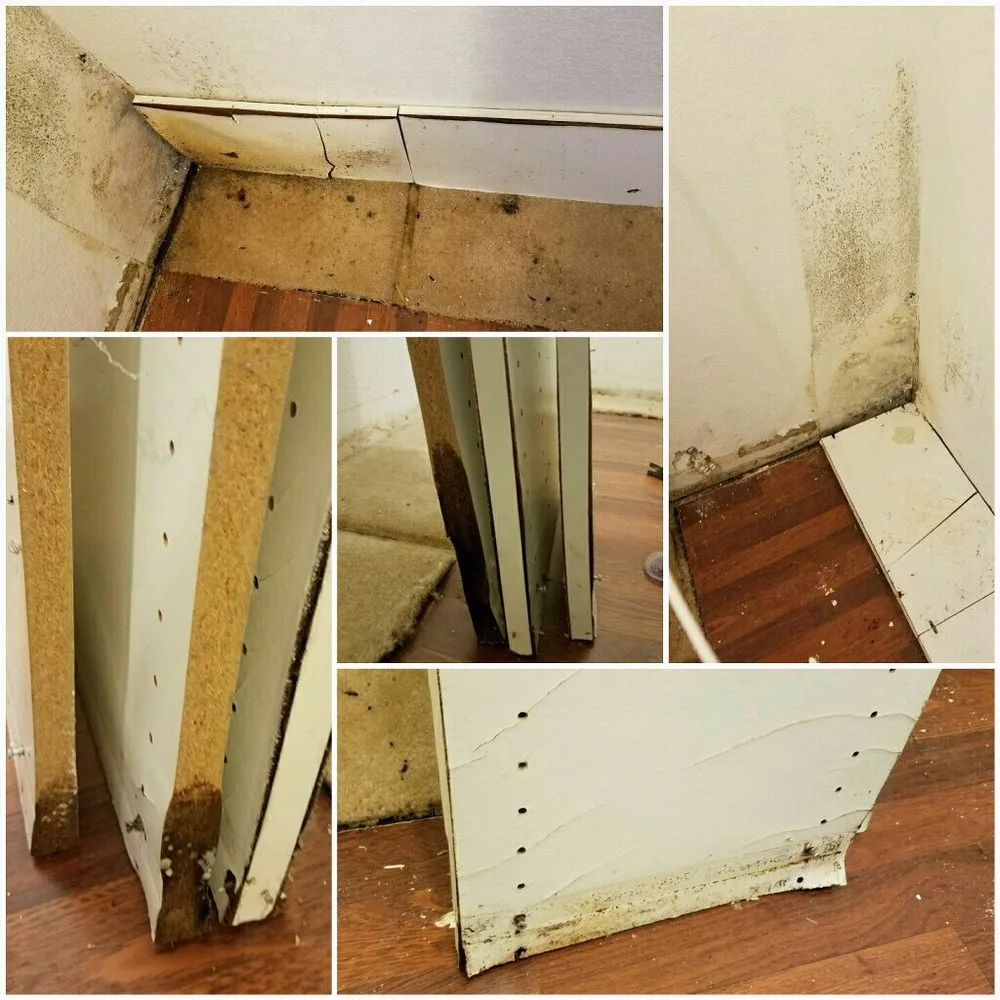 Professional drain cleaning experts serving West Hills, CA - Dry Pro Restoration and Drain Cleaning