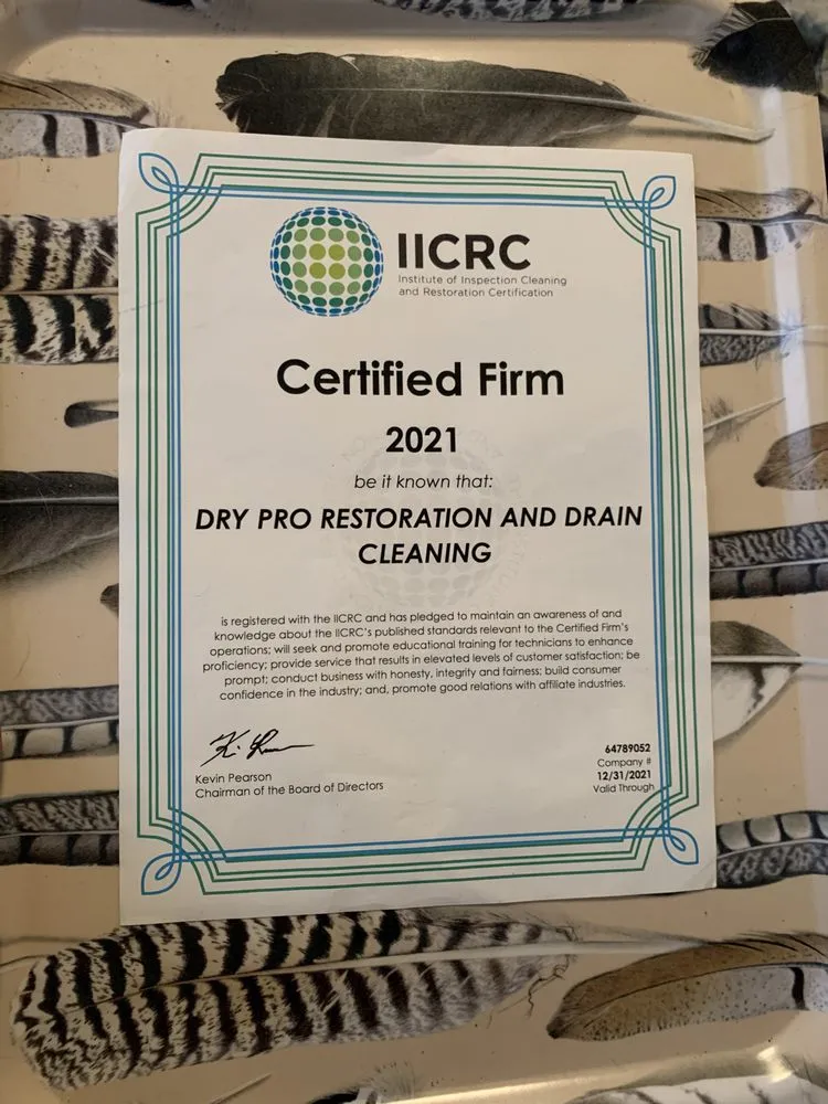 Slide of Dry Pro Restoration and Drain Cleaning