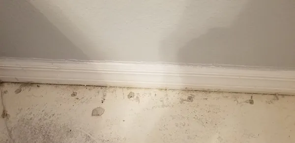 Drywizard Restoration