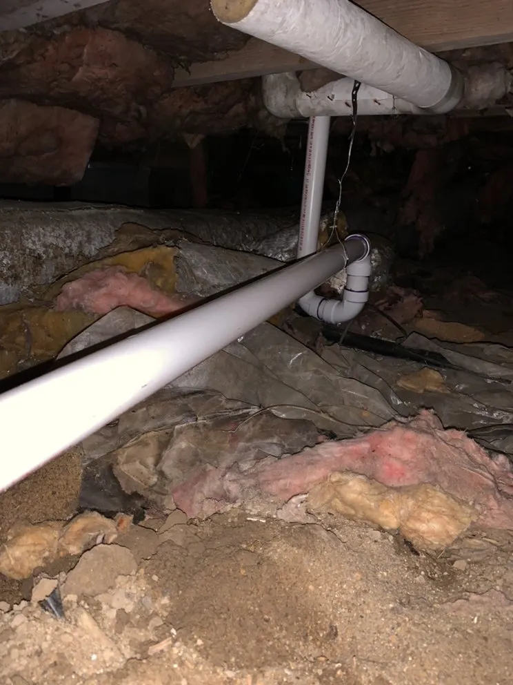 Slide of D’s Plumbing