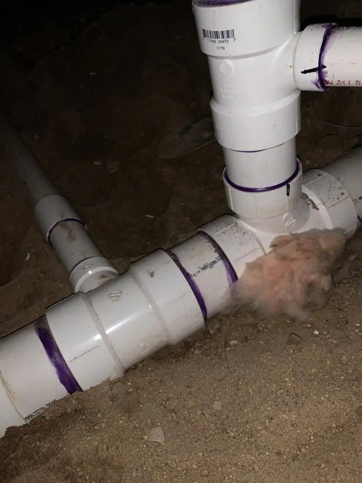 Slide of D’s Plumbing