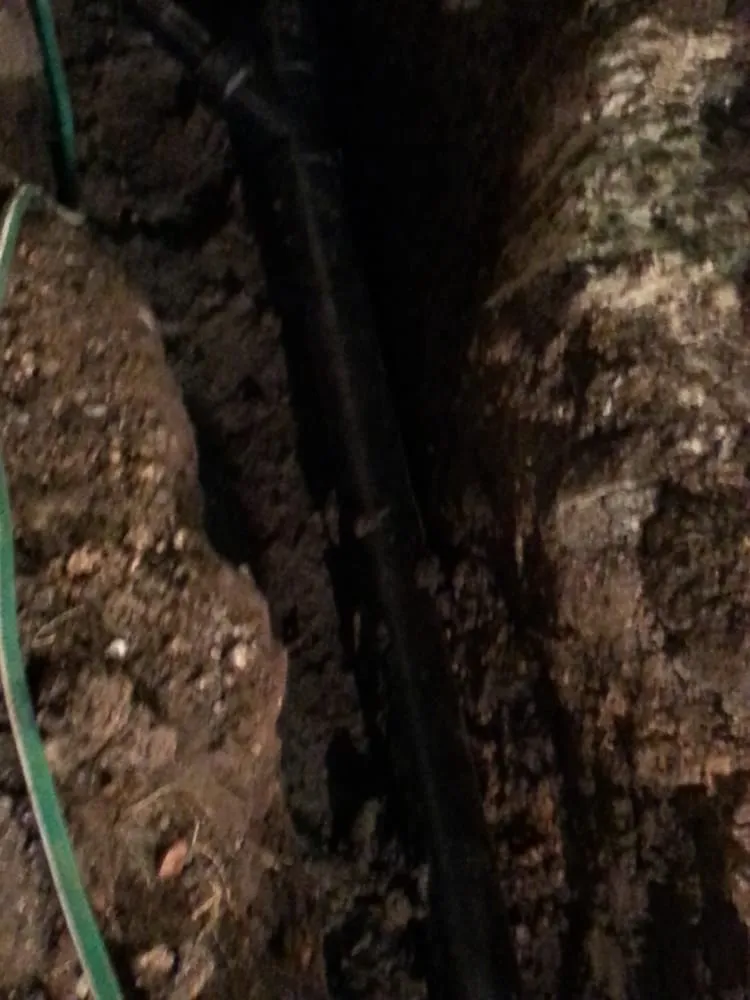 Slide of D&S Service