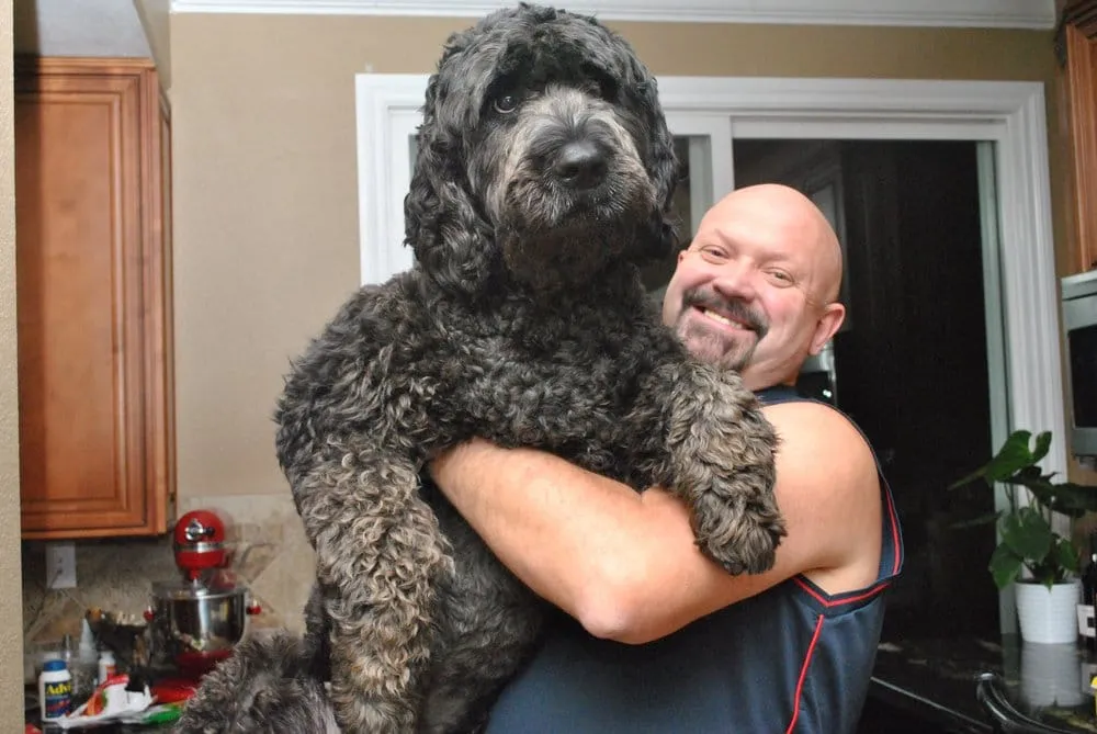 Slide of DSA Construction