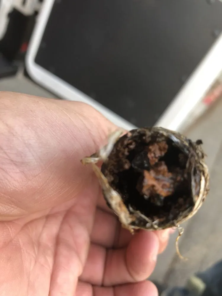 Slide of DSM Rooter Plumbing