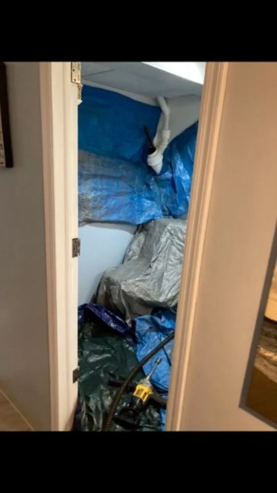 Slide of DT-Clogsman