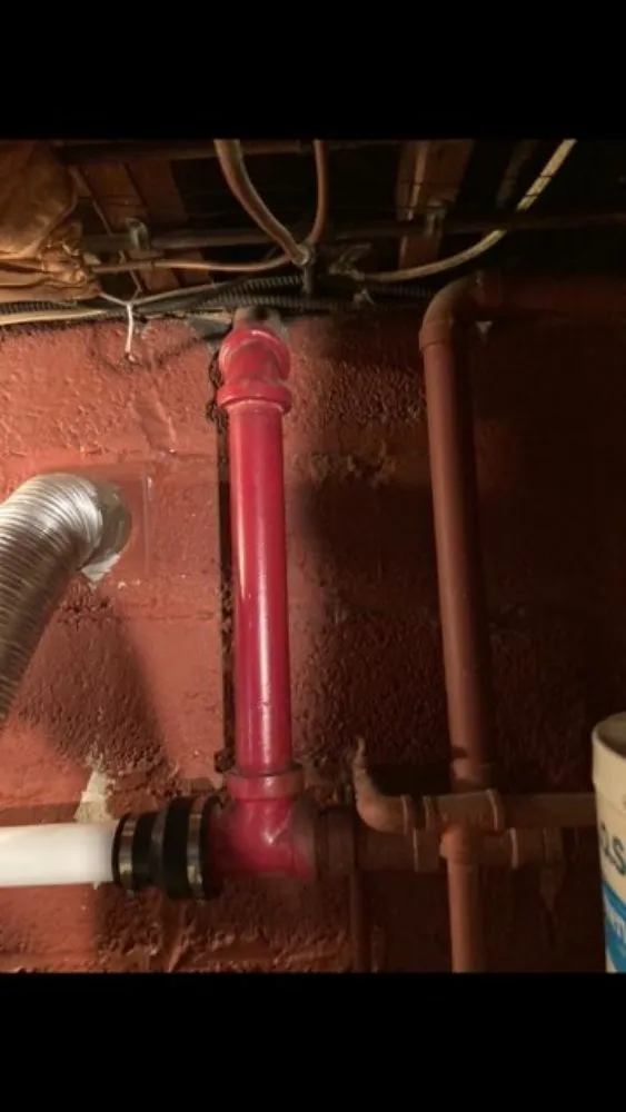 Slide of DT-Clogsman