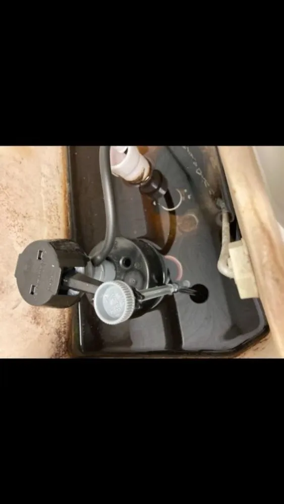 Slide of DT-Clogsman