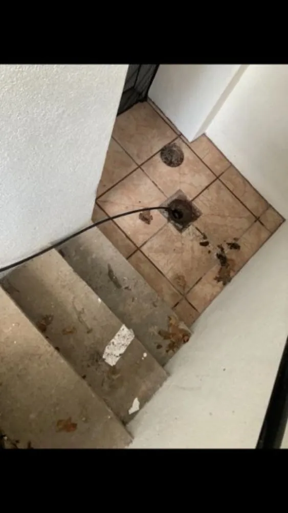 Top-rated drain cleaning for homes in Hasbrouck Heights, NJ by DT-Clogsman