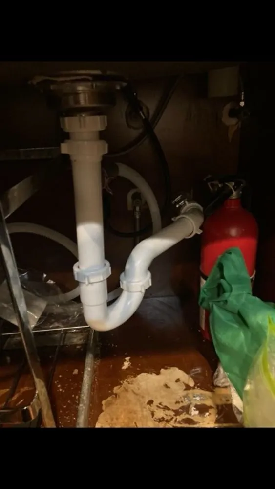 Slide of DT-Clogsman