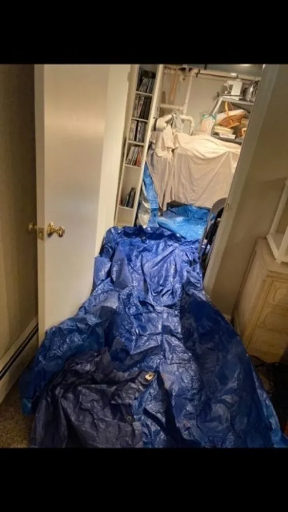 Slide of DT-Clogsman