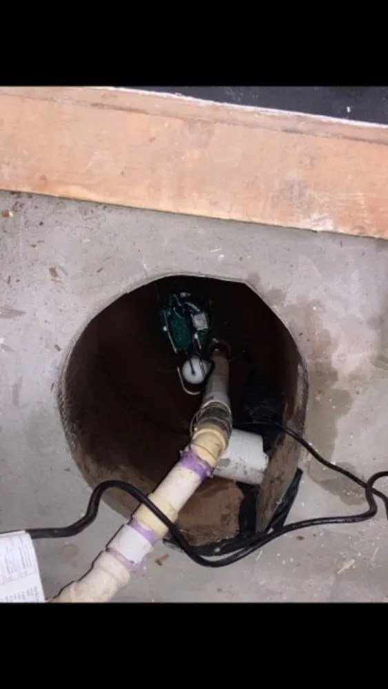 Slide of DT-Clogsman