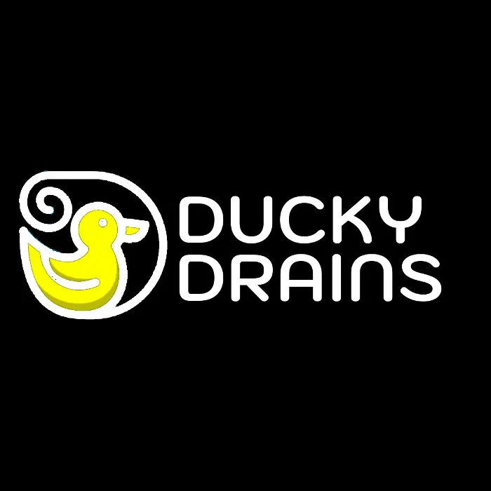 Emergency leak detection in Ofallon, MO by Ducky Drains