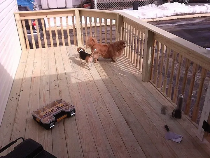 Slide of Dudley Do Right