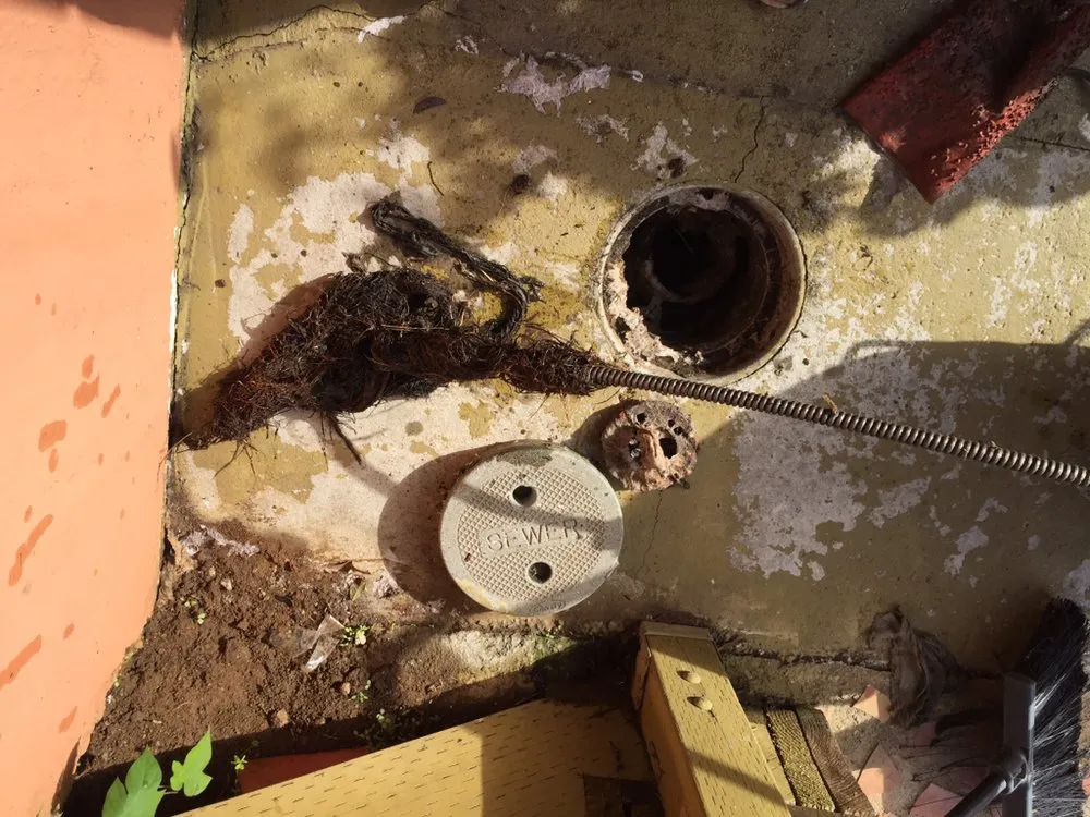 Slide of Dumb Clogs Sewer & Drain