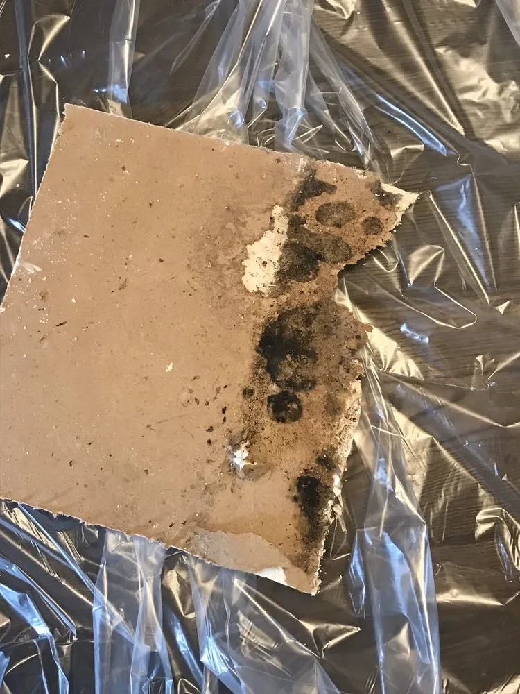 Slide of Dunedin Plumbing