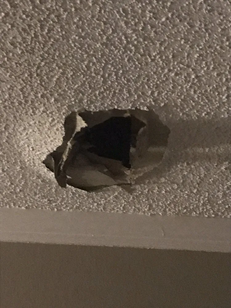 Slide of Dunedin Plumbing