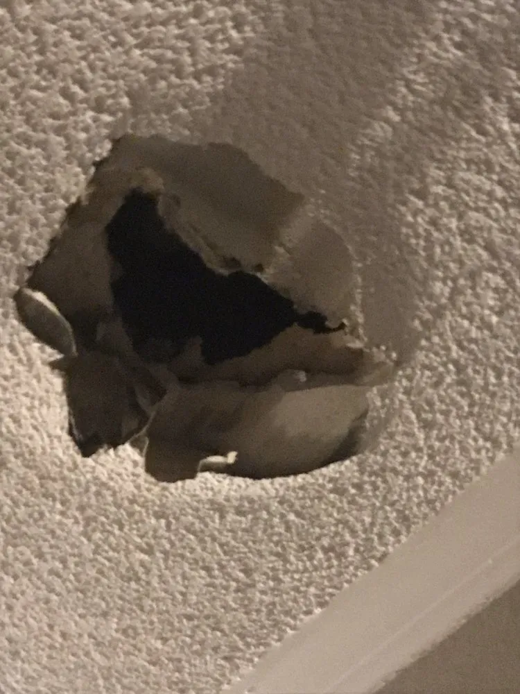 Slide of Dunedin Plumbing