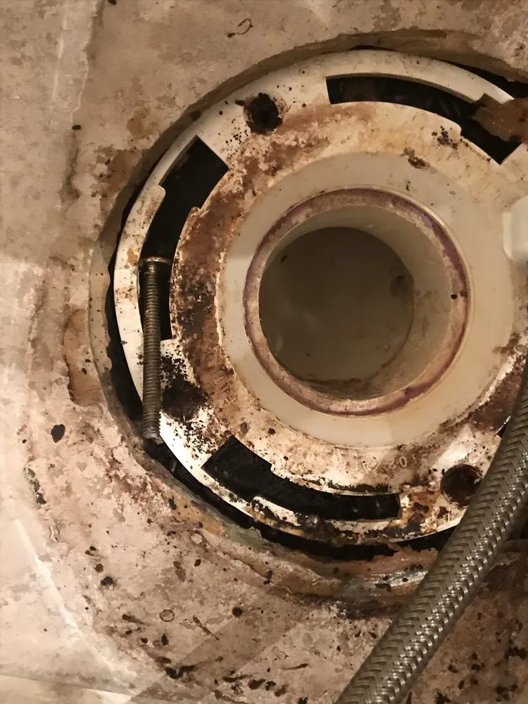 Slide of Dunedin Plumbing