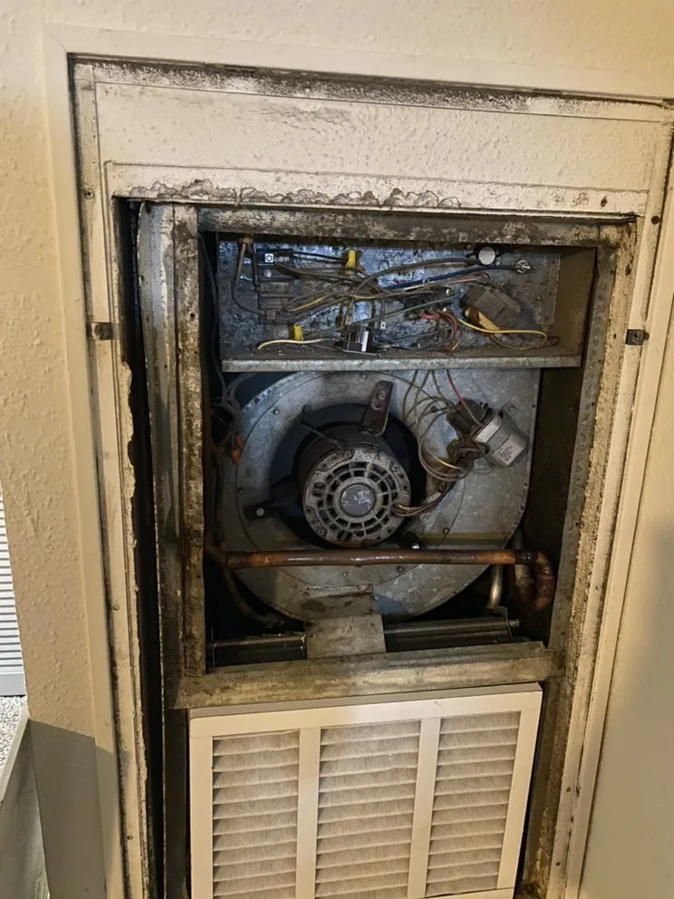 Slide of Dunn It For You services