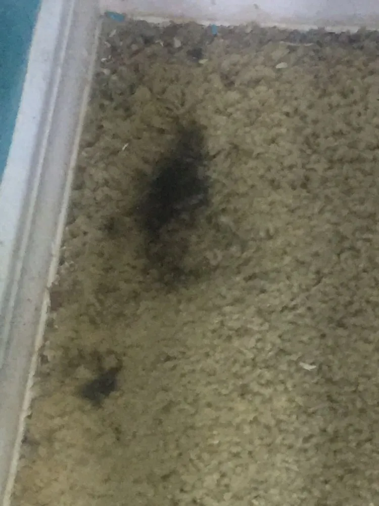 Slide of Dunrite Plumbing